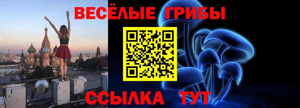 Алатырь  Псилоцибиновые грибы Psilocybe  Вход с VPN 